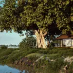 Chobe Savanna Lodge | Rendered image. Reopening after renovations in May 2026, new images coming soon.