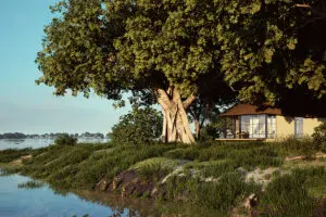 Chobe Savanna Lodge | Rendered image. Reopening after renovations in May 2026, new images coming soon. 
