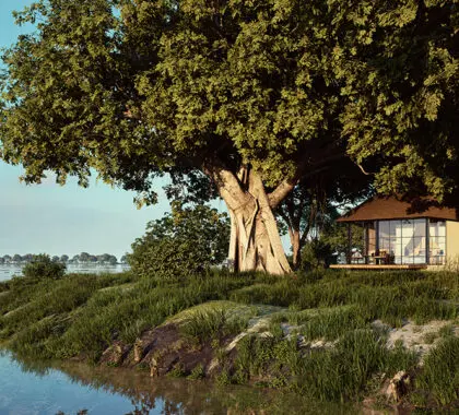 Chobe Savanna Lodge | Rendered image. Reopening after renovations in May 2026, new images coming soon. 