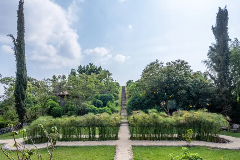 19-virunga-lodge-gardens-001