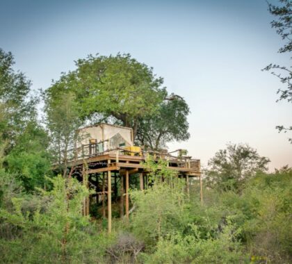 Experience a magical sleep-out under the stars on a raised deck with stunning views over the Makalali Conservancy.