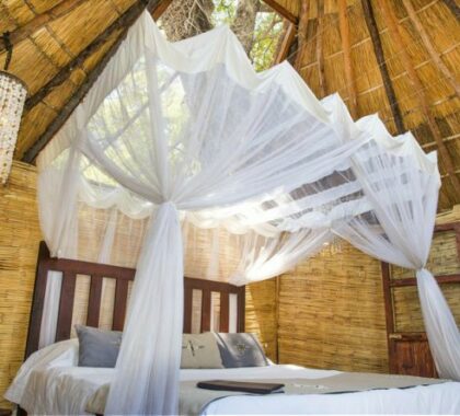 Your reed-and-thatch suite features a skylight, offering you the sensation of sleeping under the stars.
