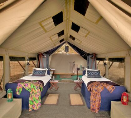 Your tent at Zambezi Expeditions is fitted with twin beds and en suite facilities that include hot showers.