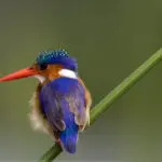 Great bird watching destination. 