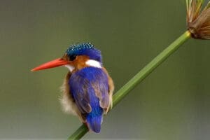 Great bird watching destination. 