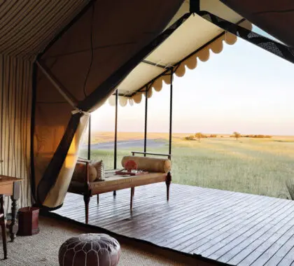 Su suite ofrece vistas de los alrededores con sus interminables vistas de praderas doradas y onduladas que se extienden sin fin hacia el horizonte.