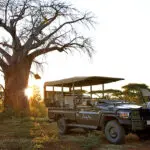 There are plenty of wild Game-viewing opportunities to experience in Malilangwe Wildlife Reserve.