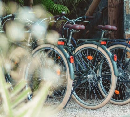 Tome una bicicleta del hotel para explorar la isla. 