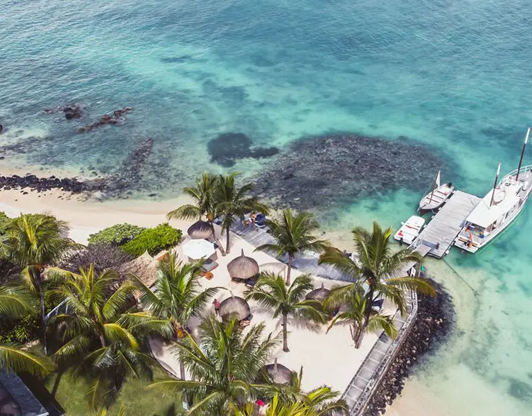 A beach and an old coconut grove at 20 Degrees Sud Boutique Hotel.
