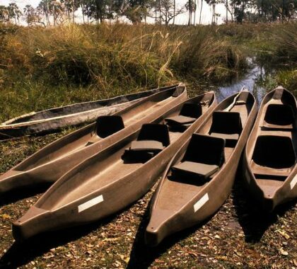 A mokoro is the perfect way to explore the Okavango Delta.