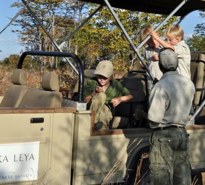 Going on a game drive is a thrilling experience for adults and children alike.