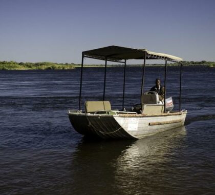 Take a river cruise along the Zambezi River to give you a different perspective of your surroundings.