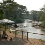 Relax in the shade on the banks of the Ntungwe River.