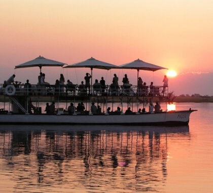 Finish a leisurely game-viewing excursion with a stunning sunset on the Chobe River.
