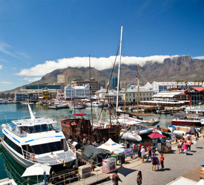 Cape Town's bustling V&A Waterfront has enough entertainment to keep the whole family happy.