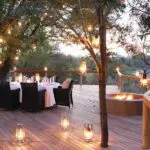 Super-intimate & radiating elegance, Londolozi Pioneer Camp sits in the legendary Sabi Sands Private Reserve.