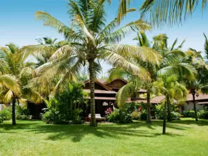 Accommodation opening onto sprawling, shaded lawns may suit families with energetic children!
