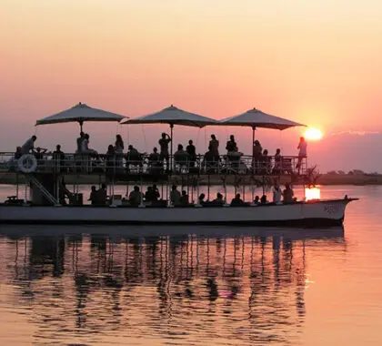 Disfrute de un crucero al atardecer por el río Chobe, con un gin-tonic en la mano.