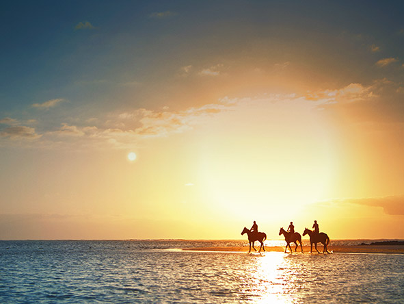 Experience another side to the beaches of Mauritius; why not enjoy a horse-back ride on the sand?
