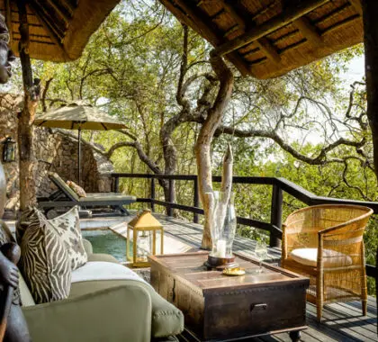 Singita Ebony es un lodge de safari elegante y con estilo, bien situado en el corazón de la Reserva Privada de Caza Sabi Sands, rica en animales.