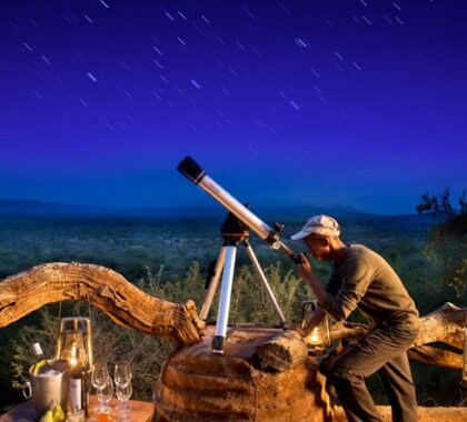Madikwe's remote location ensures incredible star-gazing throughout the year.