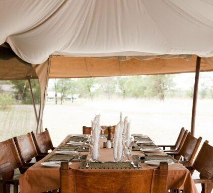 Enjoy a traditional tented experience while enjoying excellent service and hospitality.

