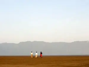 Explore el paisaje con su experto guía de safari.