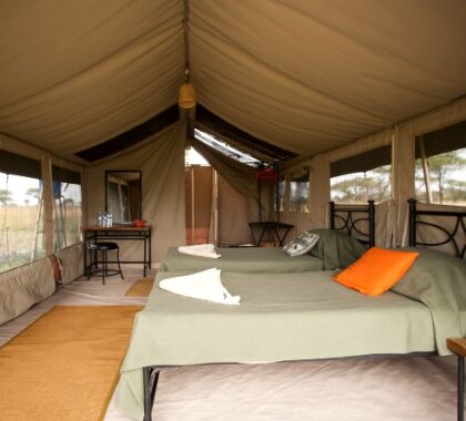 Tented suites are down-to-earth and are equipped with all of the essentials including an en suite bathroom.
