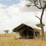 Aquí, en el Serengeti, se encontrará en plena naturaleza africana.