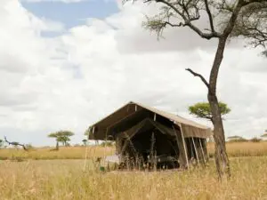 Aquí, en el Serengeti, se encontrará en plena naturaleza africana.