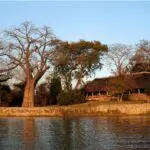 El Mvuu Lodge está situado en la tranquila zona de Chiawa, rica en animales, junto al Parque Nacional de Zambeze y frente a Mana Pools, Patrimonio de la Humanidad.
