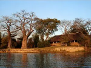 El Mvuu Lodge está situado en la tranquila zona de Chiawa, rica en animales, junto al Parque Nacional de Zambeze y frente a Mana Pools, Patrimonio de la Humanidad.