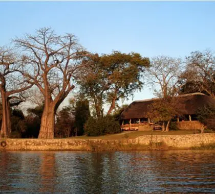 Mvuu Lodge is set in the tranquil game-rich Chiawa area next to the Zambezi National Park and opposite Mana Pools World Heritage Site.
