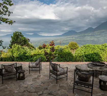 23-virunga-lodge-terrace-gvw-dsc_1942