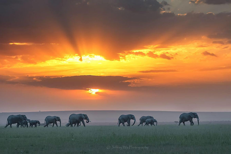 Sensational African sunsets bring to mind a certain theme song.