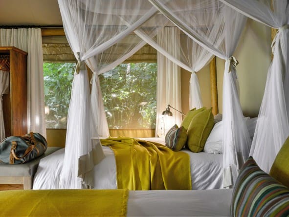 Las suites de las tiendas cuentan con camas tamaño queen y generosas bañeras con vistas al dosel del bosque.