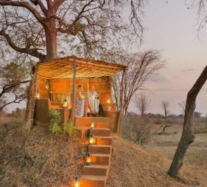 Enjoy a change of scenery and spend a night in a romantic treetop suite.