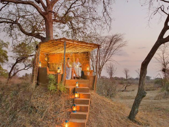Enjoy a change of scenery and spend a night in a romantic treetop suite.