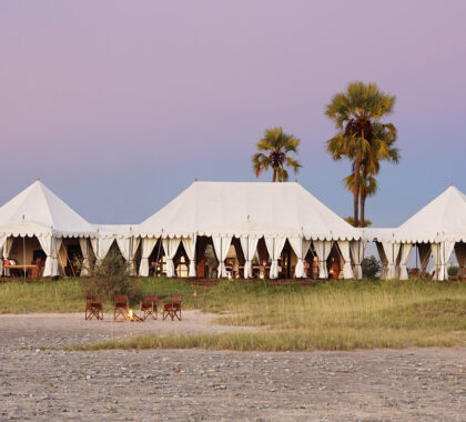 Personifying African elegance at its best, San Camp is located in a private concession bordering the Makgadikgadi Pans and offers a complete Kalahari Desert experience. 