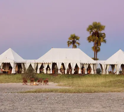 Personifying African elegance at its best, San Camp is located in a private concession bordering the Makgadikgadi Pans and offers a complete Kalahari Desert experience. 