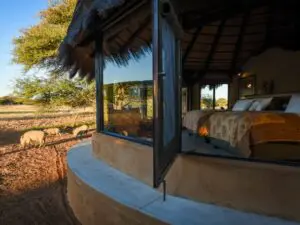 Large glass sliding door in front of the beds to provide beautiful wild vistas.