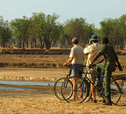 Hop on a mountain bike and set out on an animal-filled excursion.