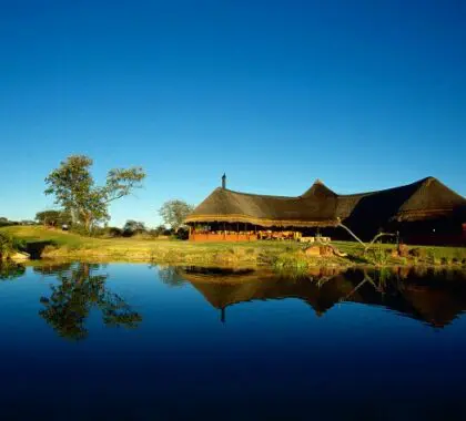 Set on the border of the Waterberg Plateau Park, the Okonjima Bush Camp is a sight to behold.