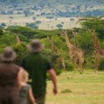 A Saruni safari is also about exploring on foot - in the company of expert guides of course!