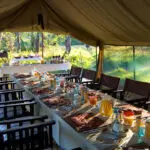 A sunlit breakfast rewards an early start at Dunia Camp, set in the path of the Serengeti wildebeest migration.