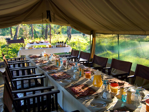 A sunlit breakfast rewards an early start at Dunia Camp, set in the path of the Serengeti wildebeest migration.