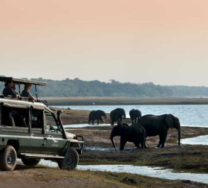 This 6-day tour is a mobile adventure, allowing you to follow the action and experience the best of northern Botswana.