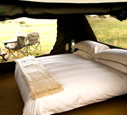 The comfortable dome tents are fitted with double beds, side tables and even a cupboard!