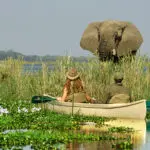 El multipremiado Chiawa Camp se encuentra en el río Zambeze y está especializado en safaris guiados en canoa.