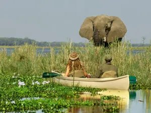 El multipremiado Chiawa Camp se encuentra en el río Zambeze y está especializado en safaris guiados en canoa.